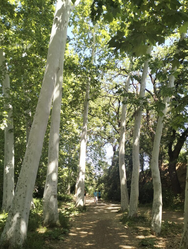 PARC AGROECOLOGIC DE GALLECS