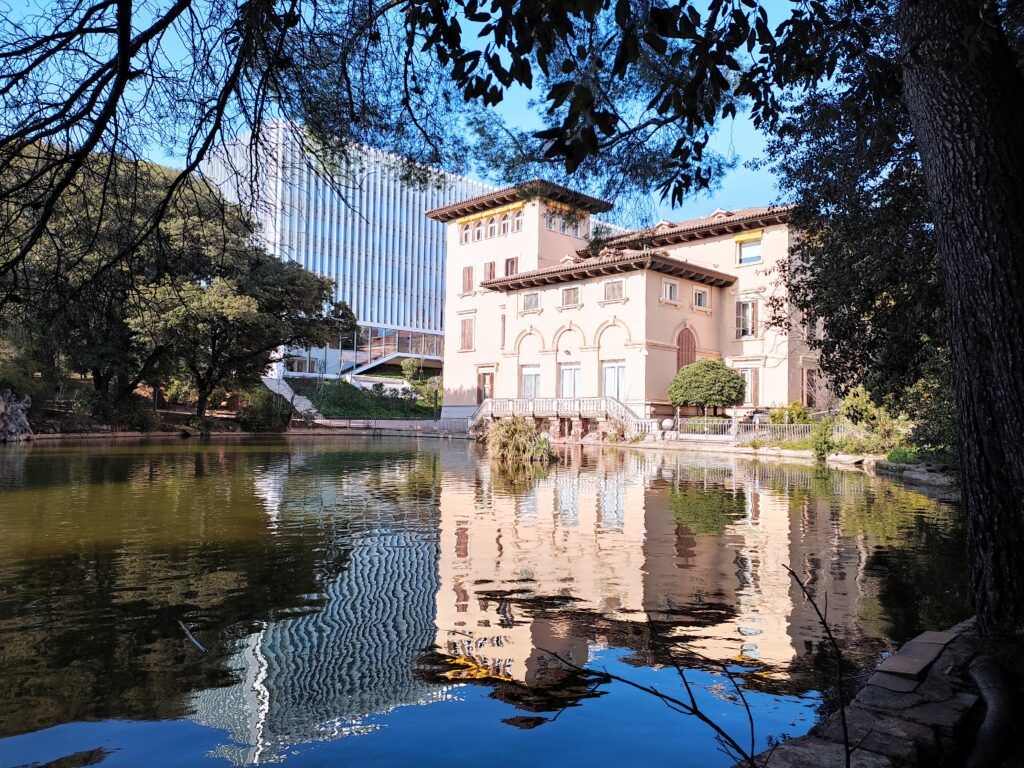 PEDRALBES