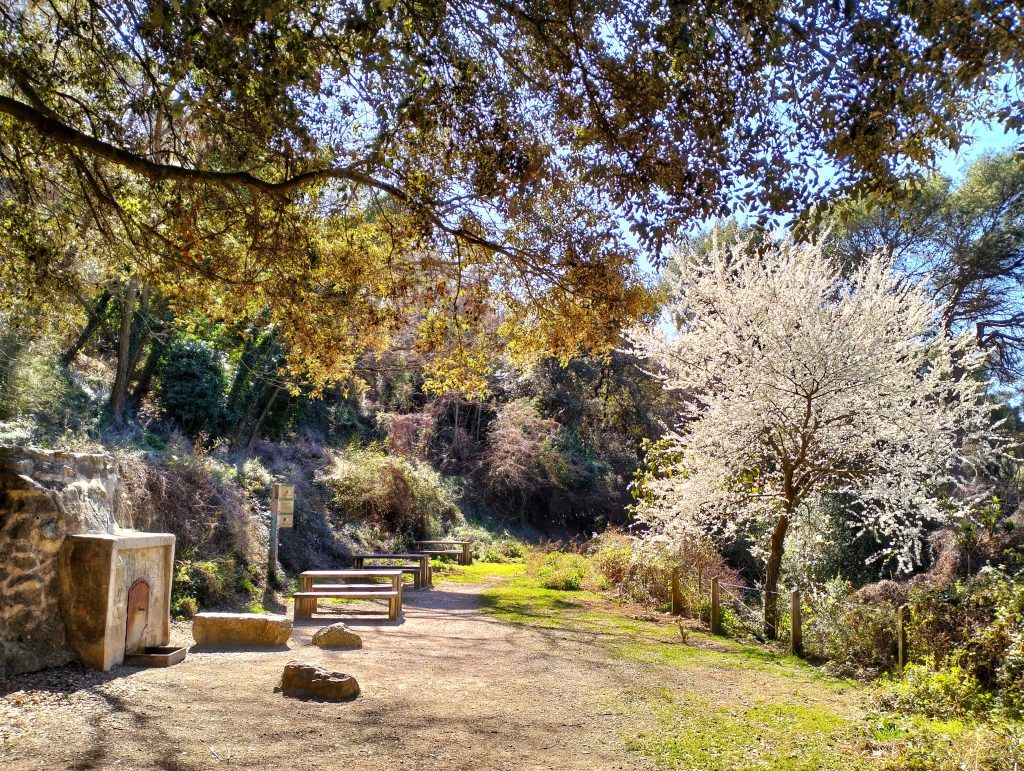 Font de MItja Costa (Turó de Montcada)