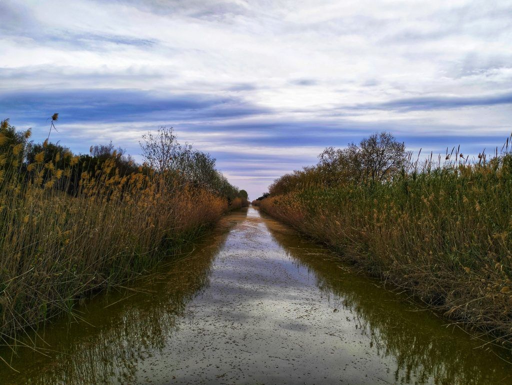 Canal de Bunyola en el Delta del LLobregat