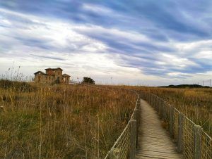 MIRADOR SEMÀFOR EN EL DELTA DEL LLOBREGAT