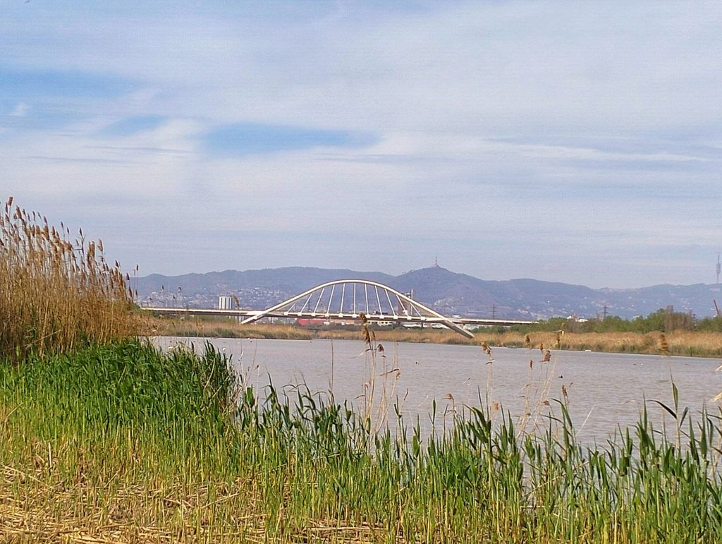 Puente Nelson Mandela