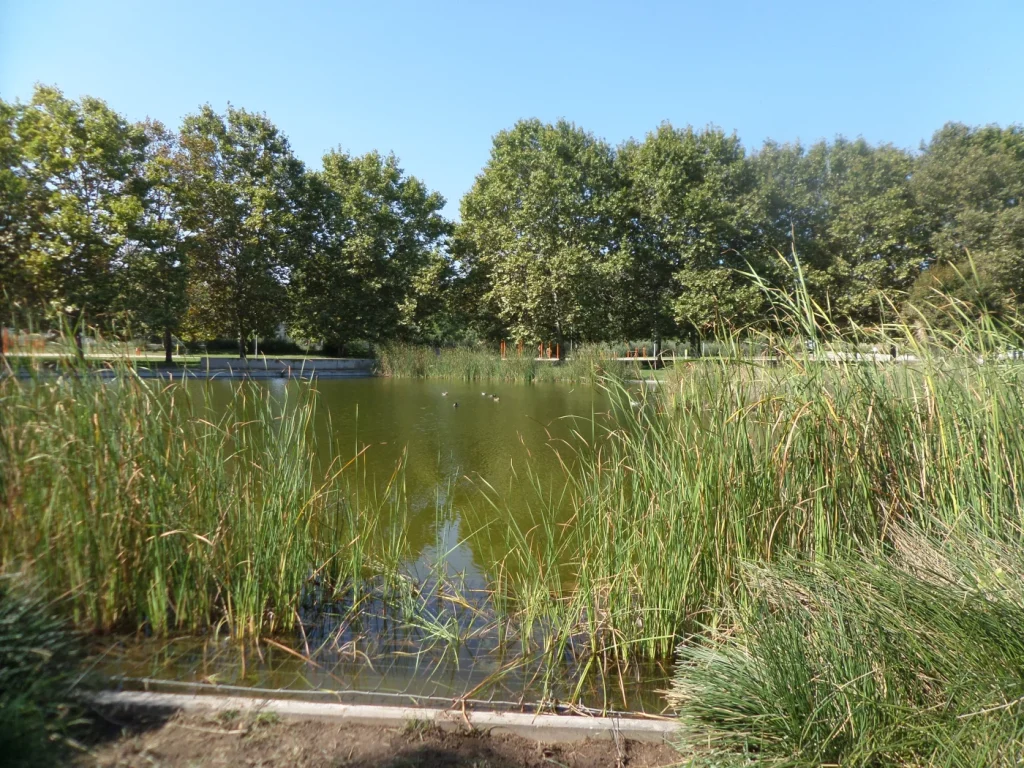 lago parc can zam