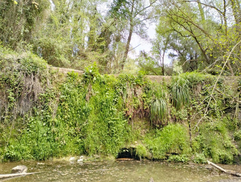 senderismo por collserola