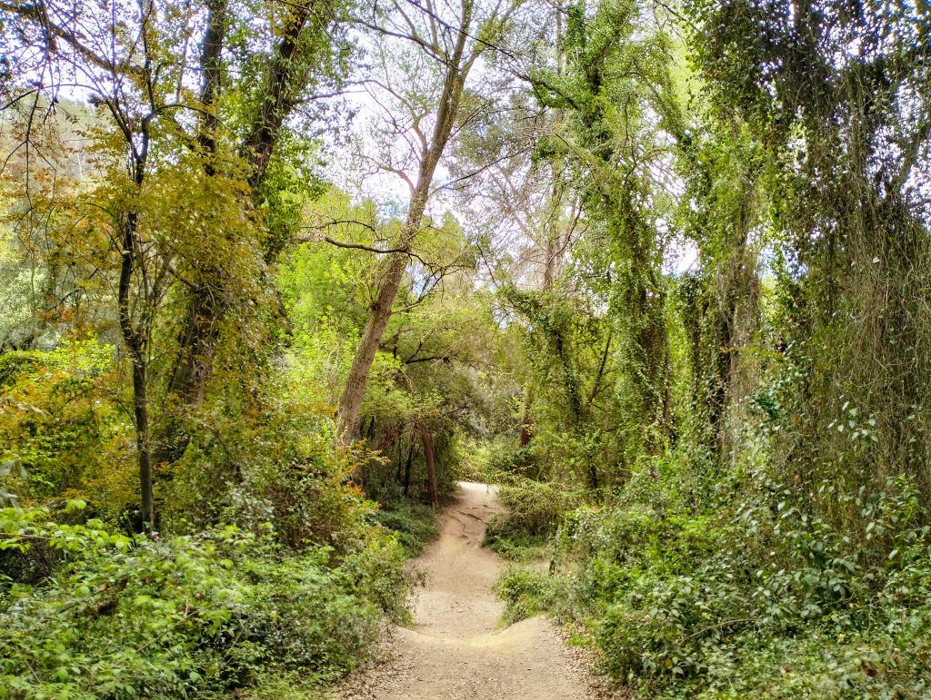 collserola