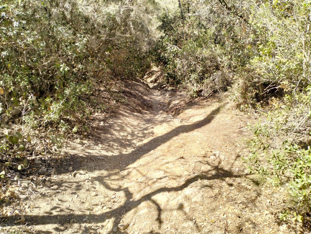 serra del llegat collserola