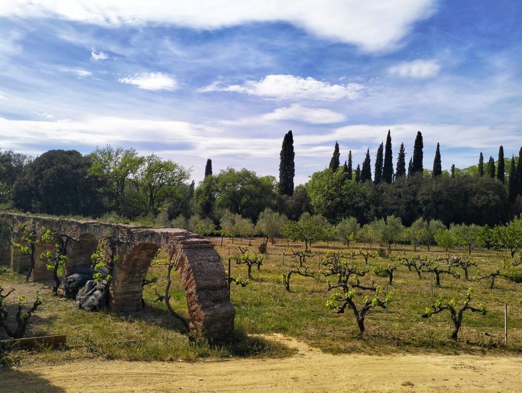 acueducto de canaletas collserola