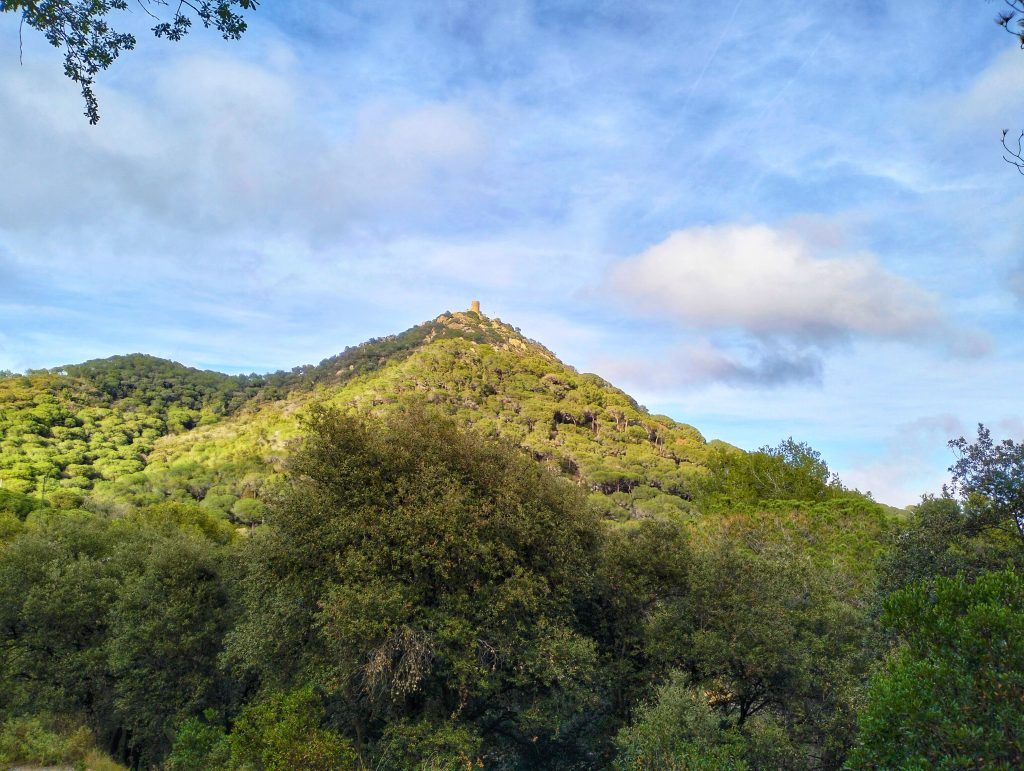 castell de burriac