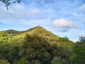 castell de burriac