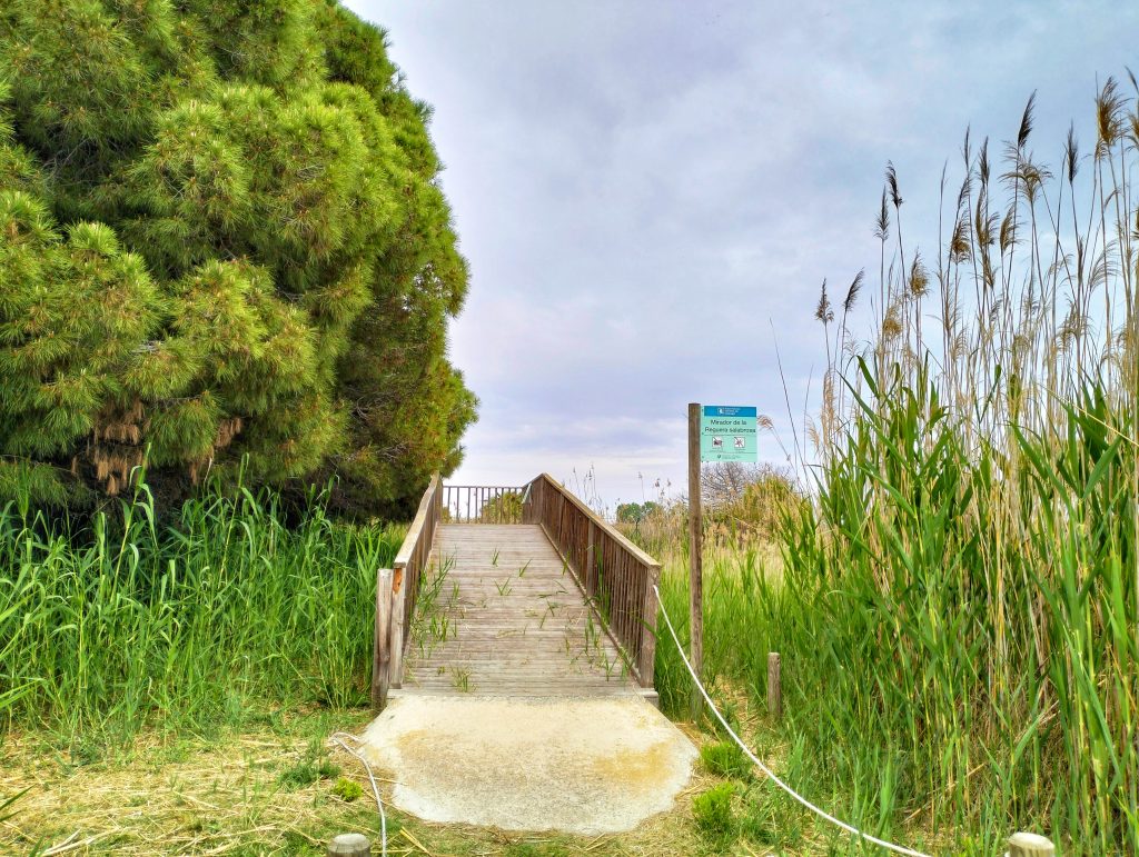 delta del llobregat