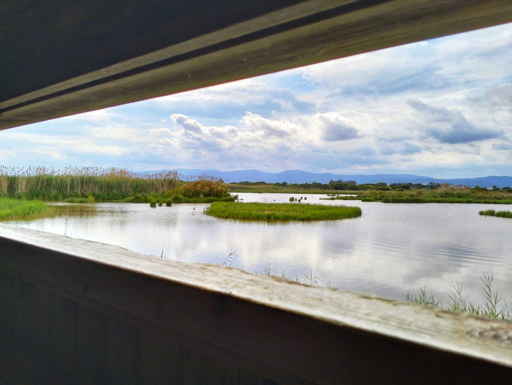 delta del llobregat