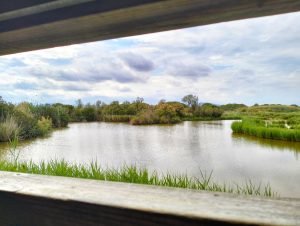 delta del llobregat