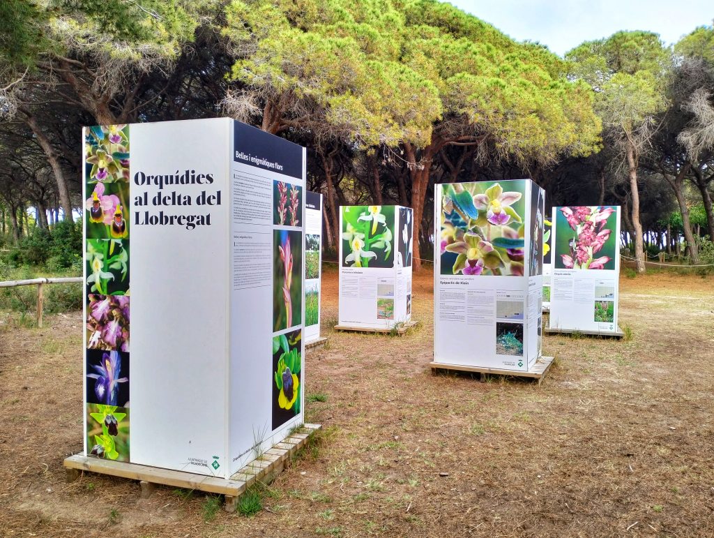 parc de les orquídies delta del llobregat