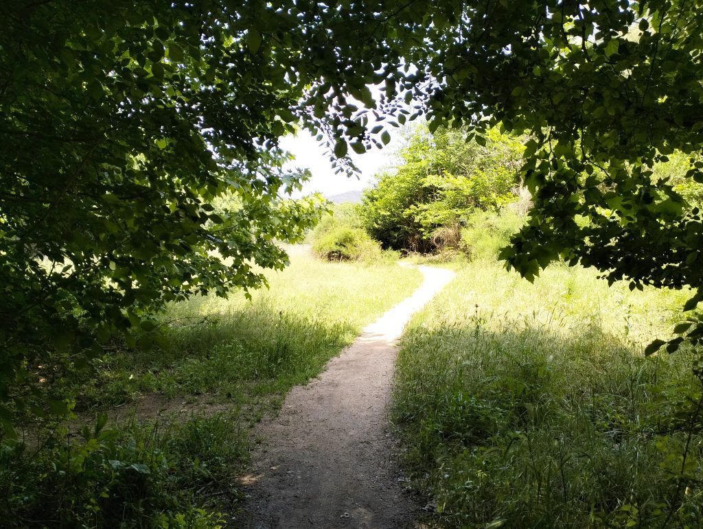 La Vall d'Olzinelles