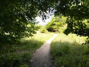 La Vall d'Olzinelles