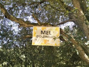 mel d'olzinelles