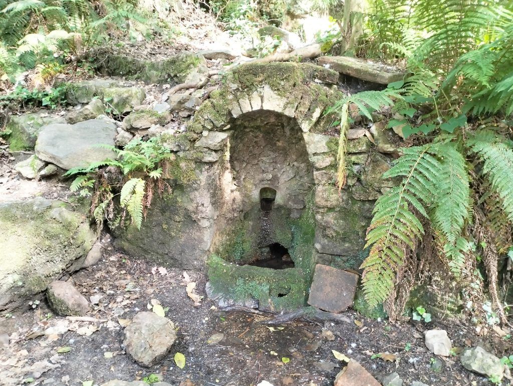 font de l'aranya la vall d'olzinelles