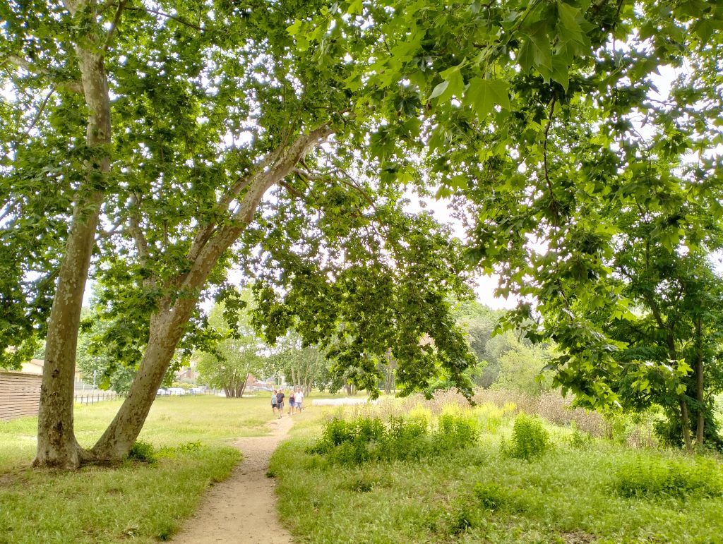Parc de la Font
