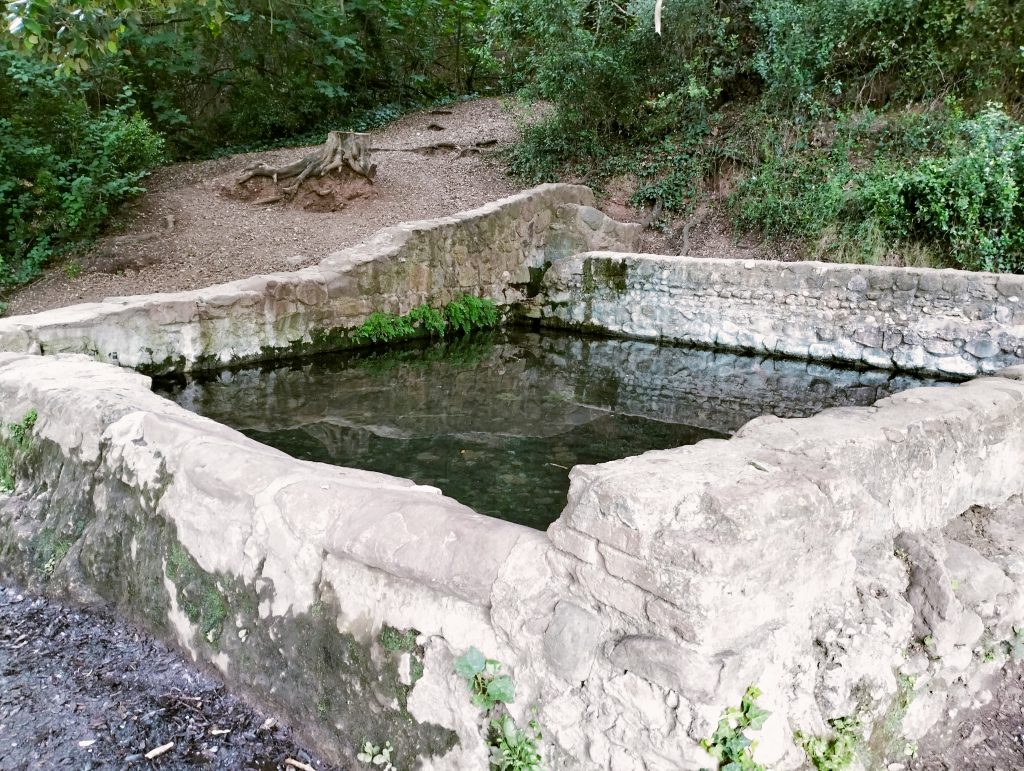 font de can moragues