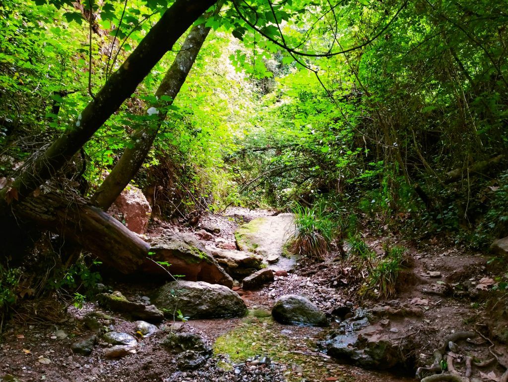 torrent dels colobrers