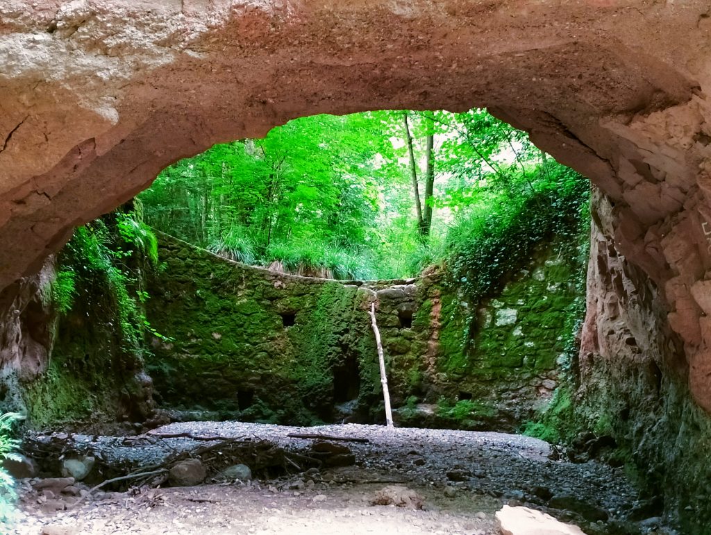 torrent dels colobrers