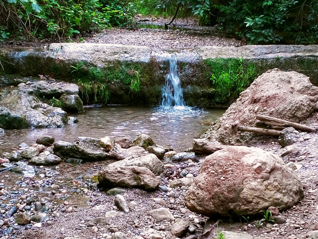 torrent de colobrers