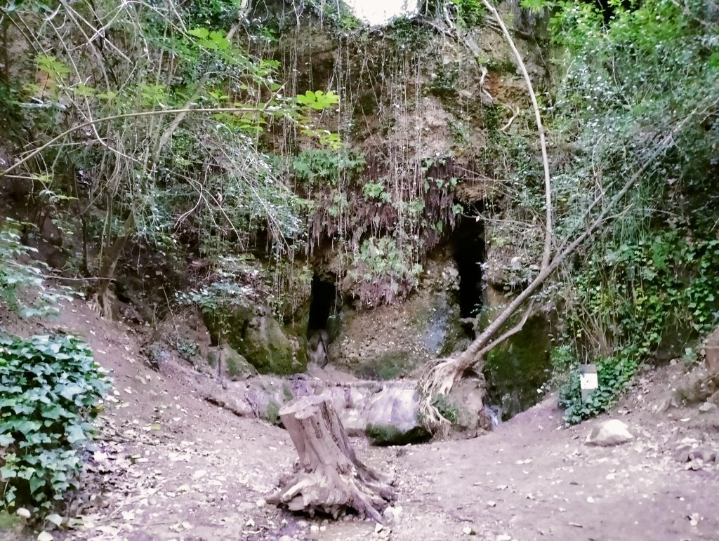 font de la tosca torrent dels colobrers