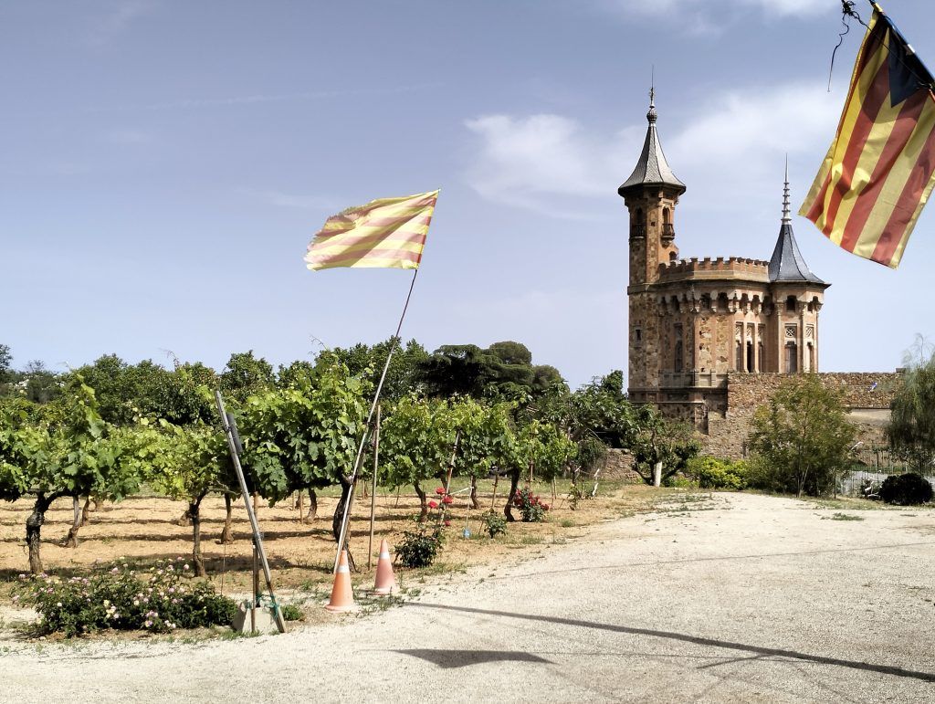 finca cal gobernador