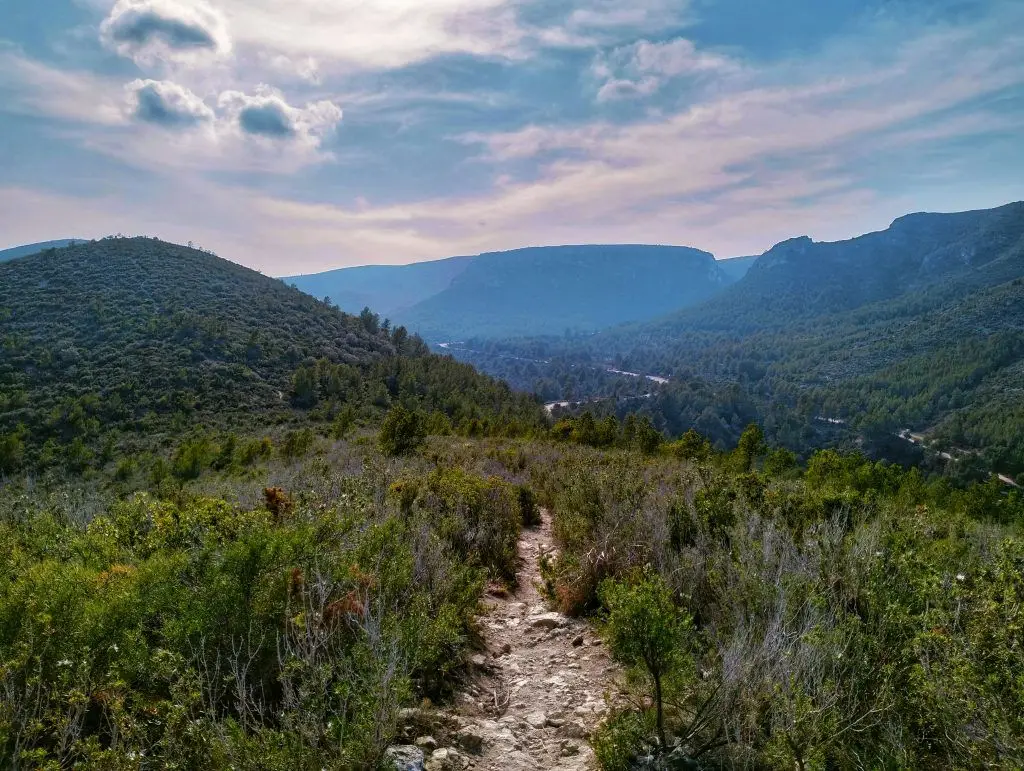 turó del gall parc natural del garraf