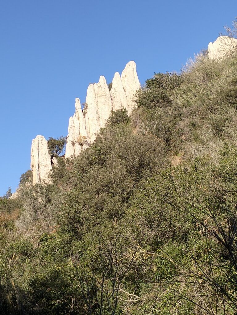 sant salvador de les espases